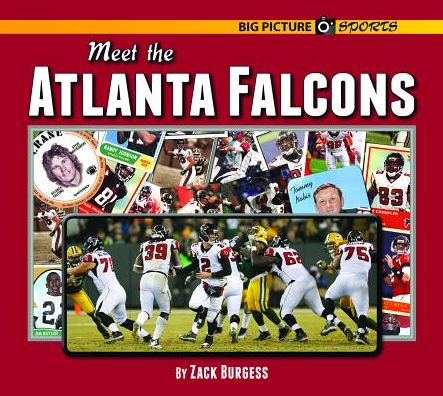 Meet the Atlanta Falcons