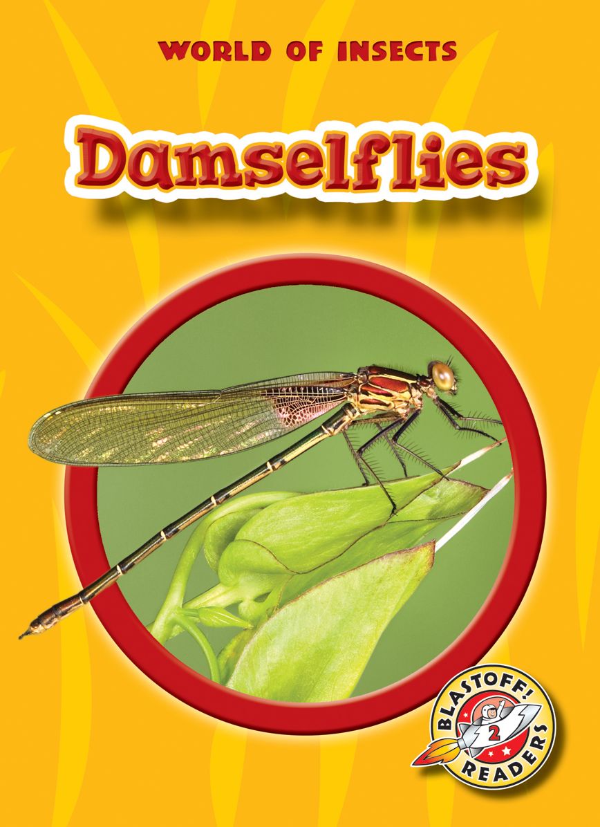 Damselflies