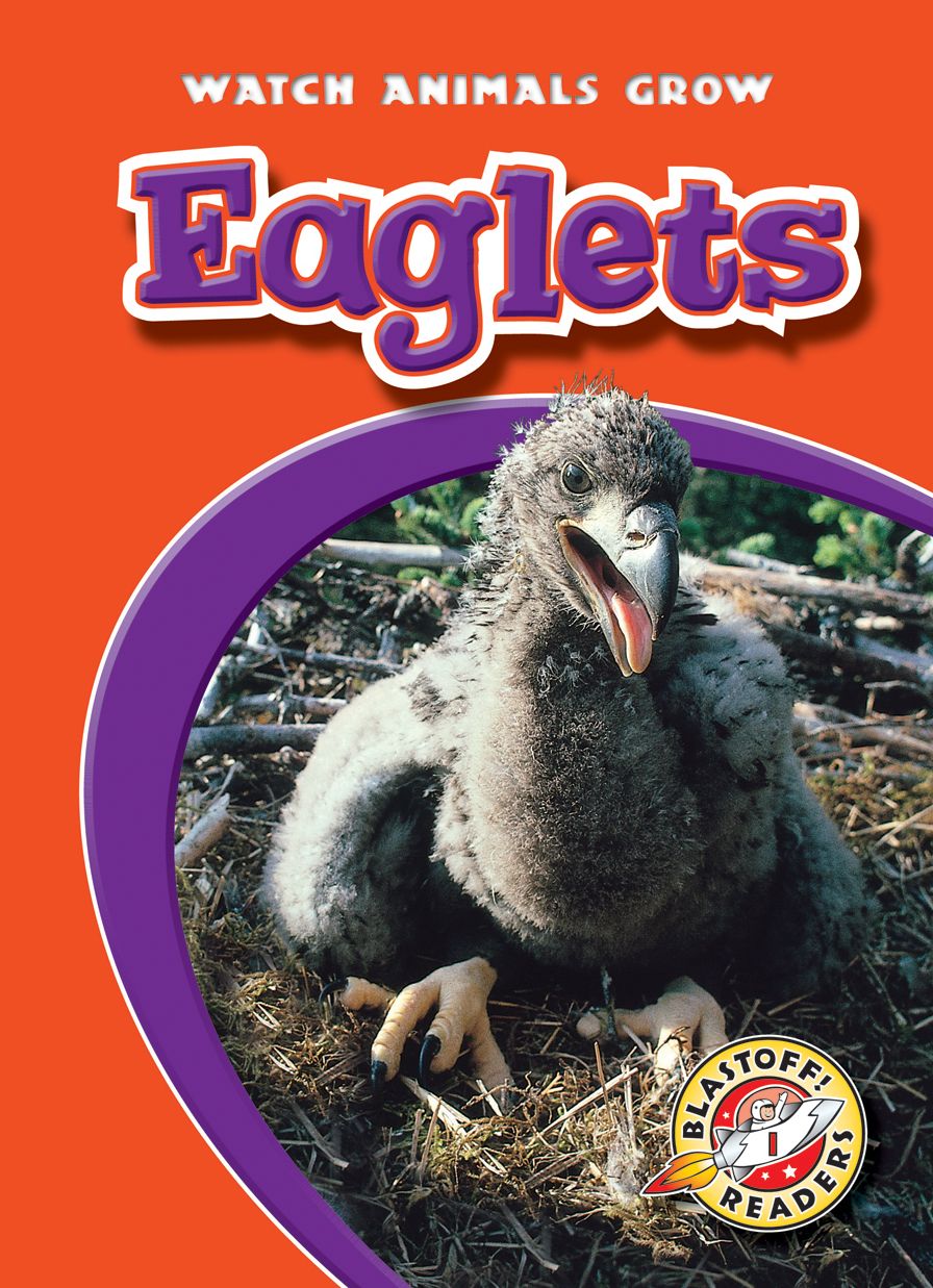 Eaglets