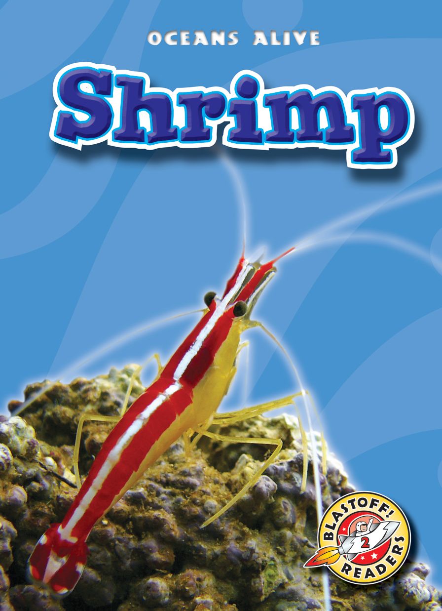 Shrimp