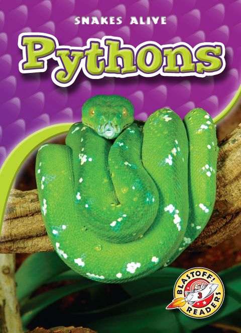 Pythons