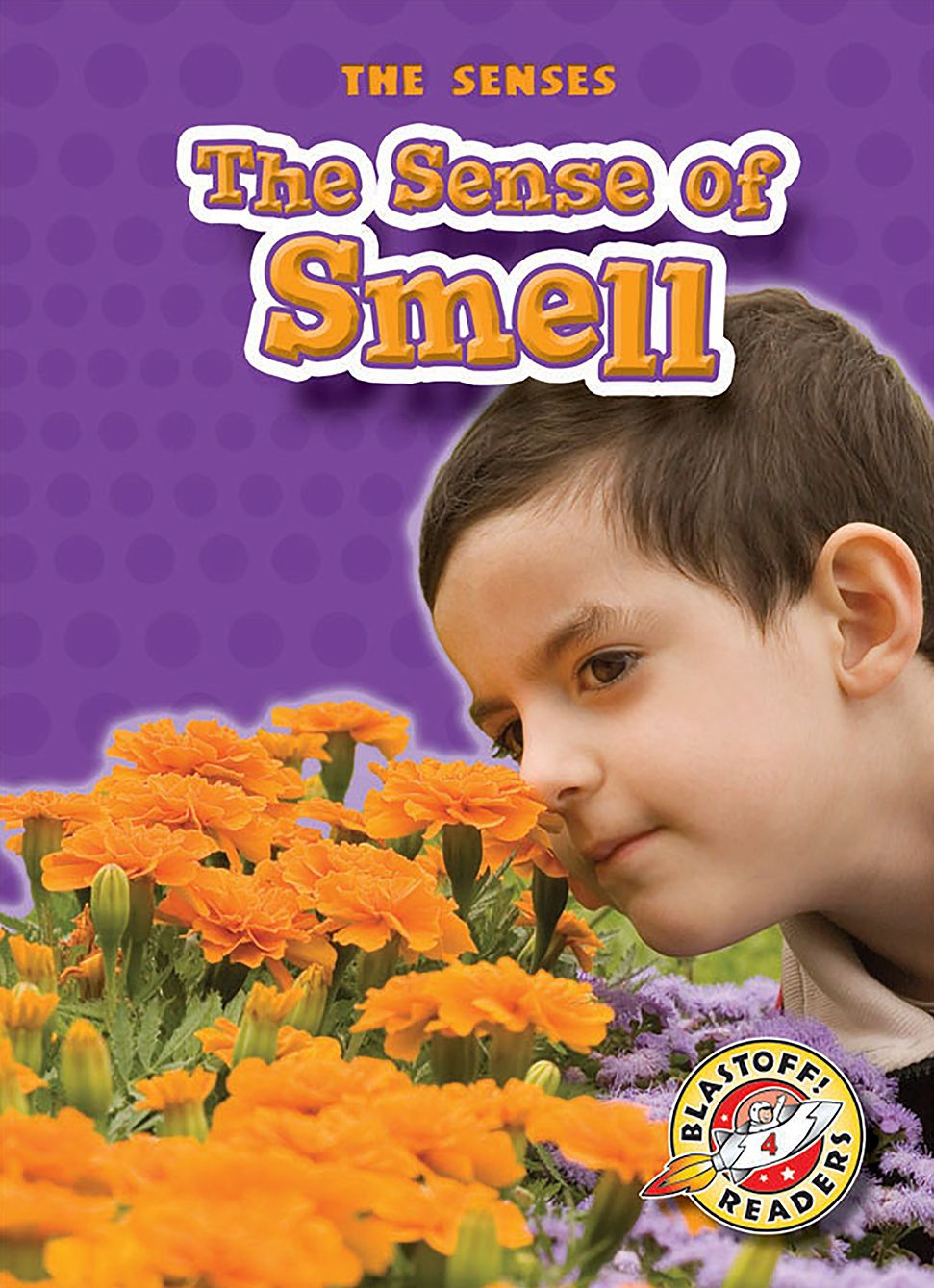 The Sense of Smell