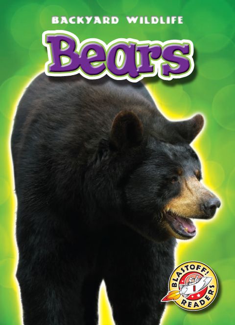 Bears