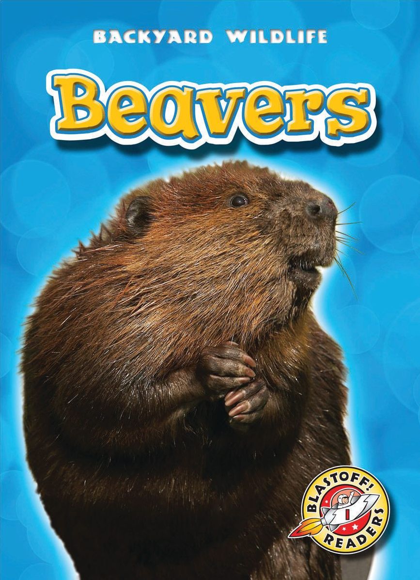 Beavers