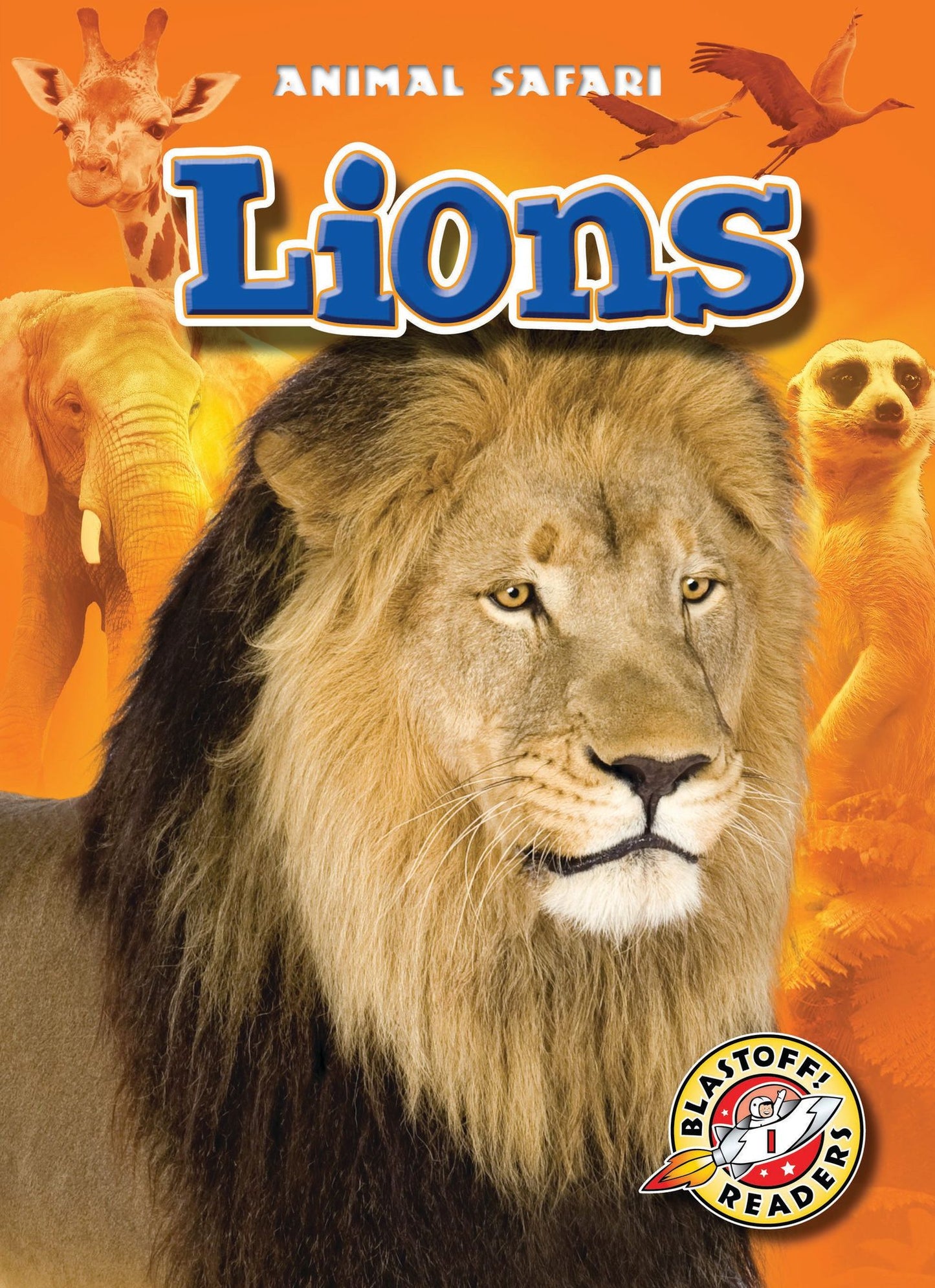 Lions