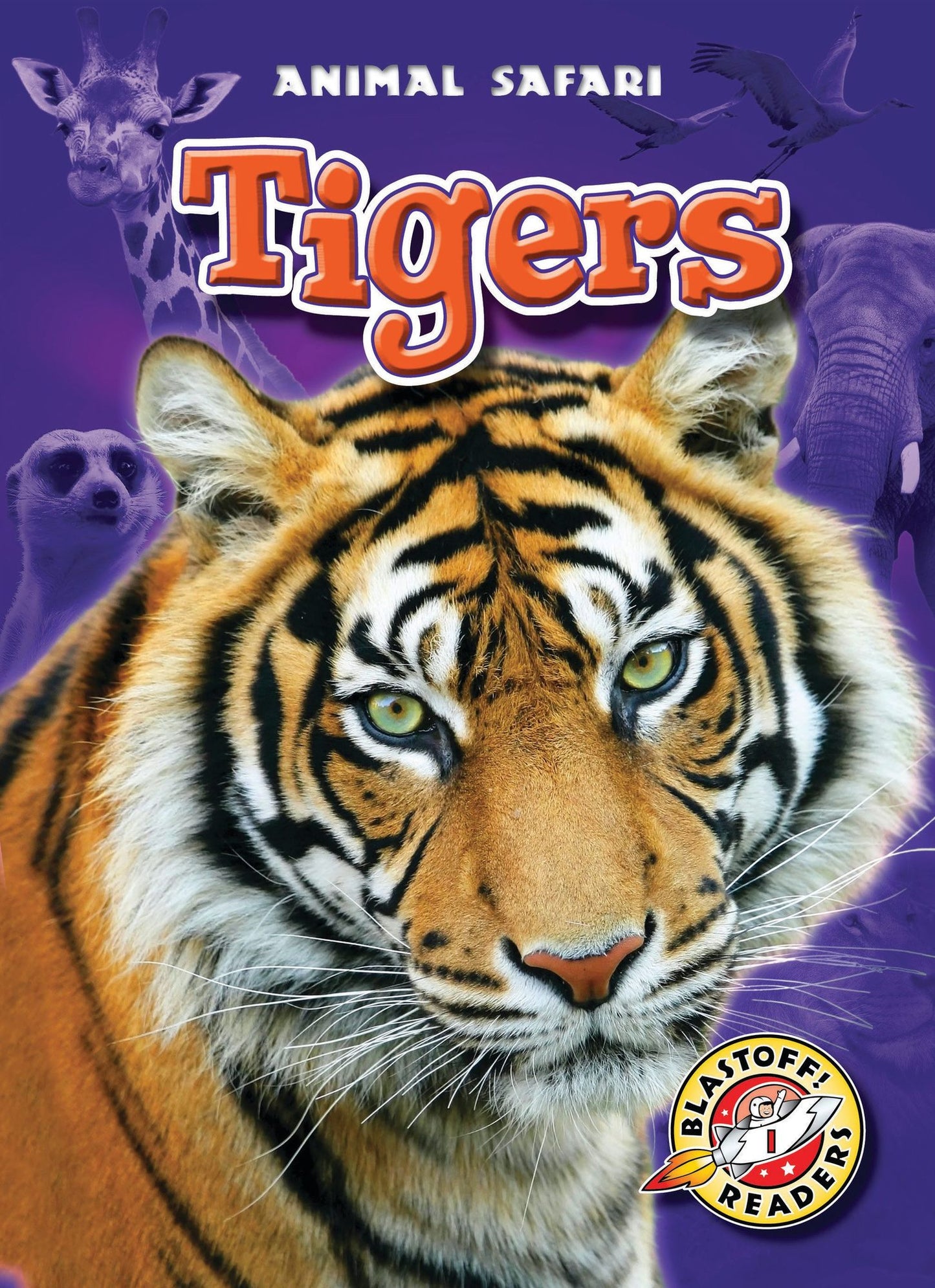 Tigers