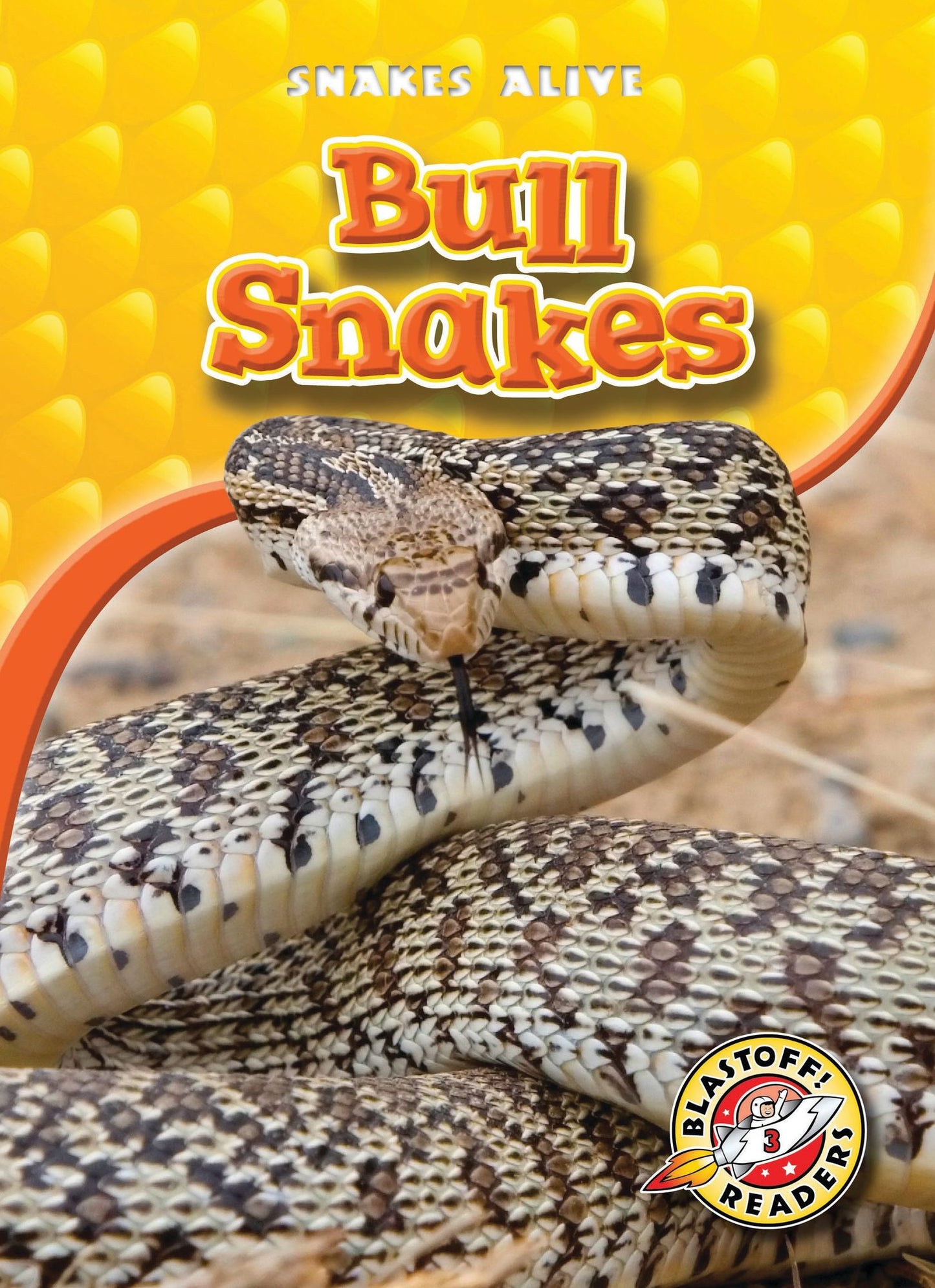 Bull Snakes