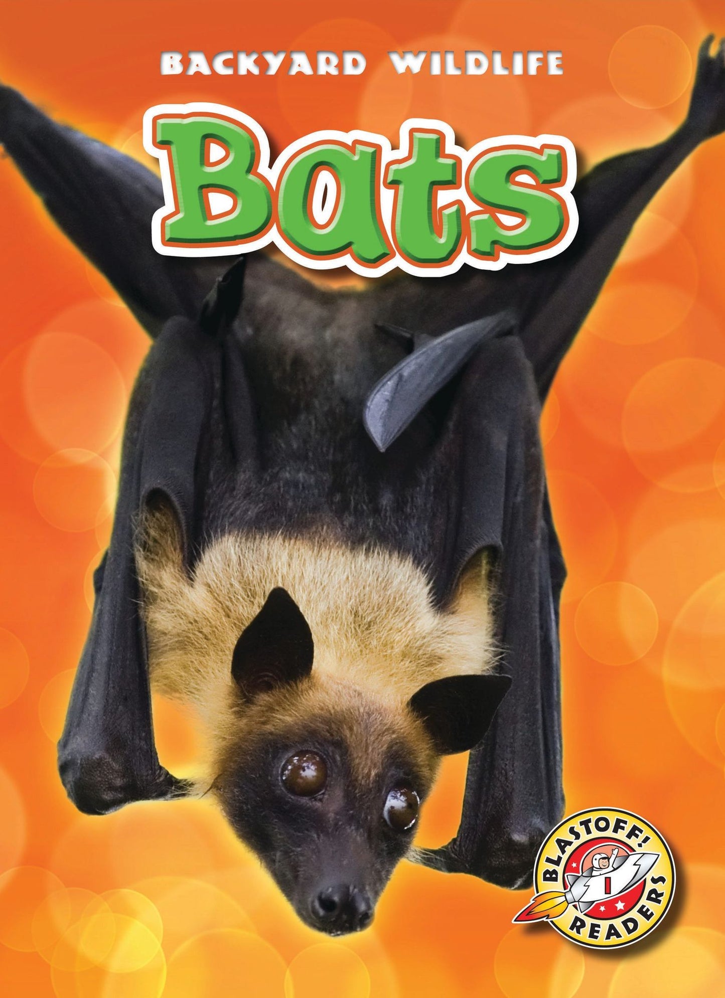 Bats