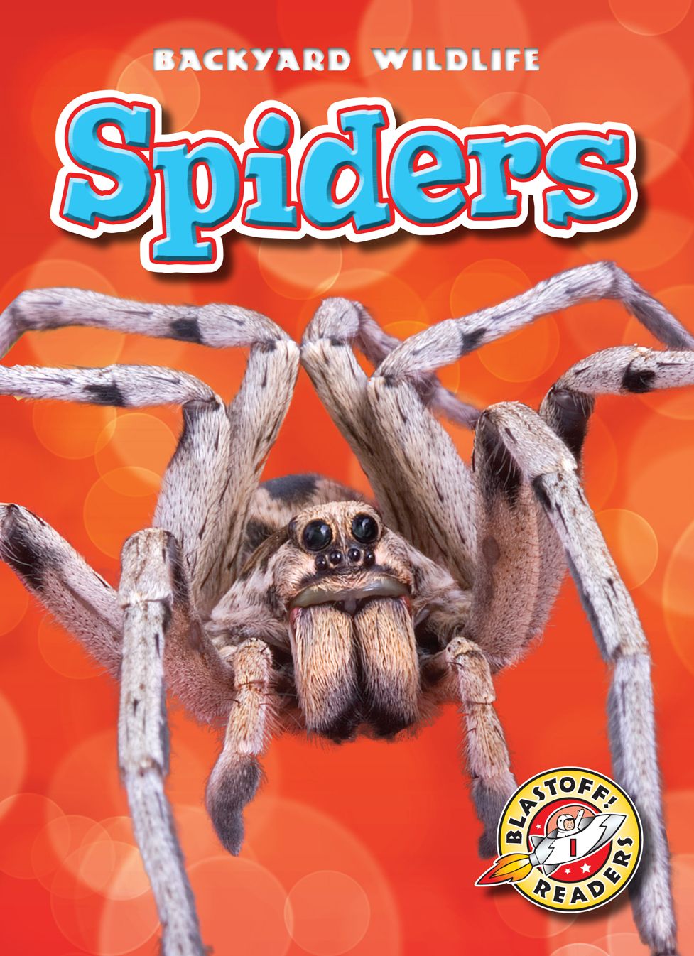 Spiders