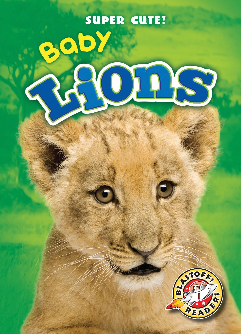 Baby Lions