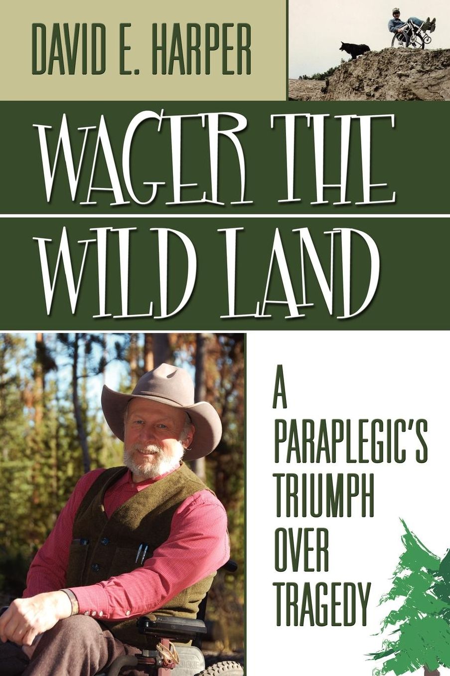 Wager the Wild Land: A Paraplegic's Triumph over Tragedy