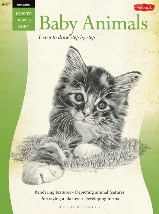 Drawing: Baby Animals: Learn to Draw Step by Step