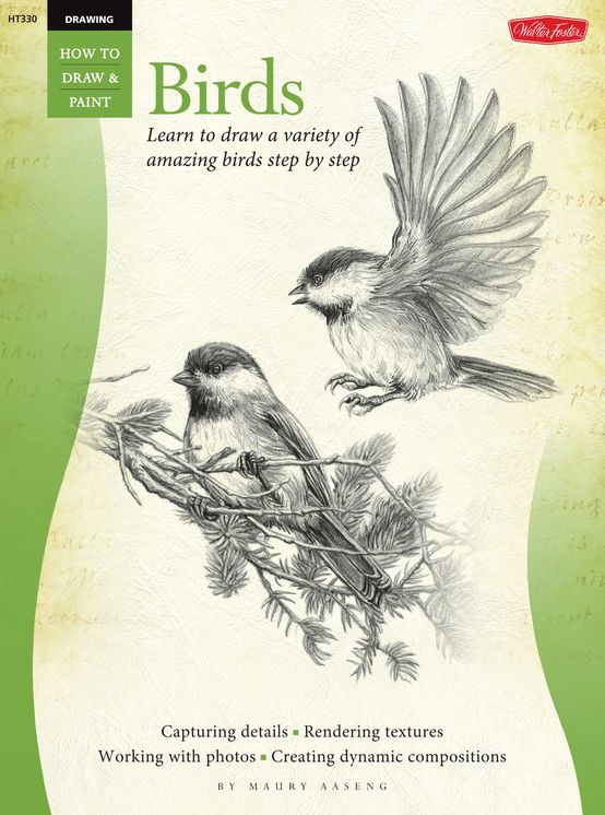 Drawing: Birds: Learn to draw a variety of amazing birds step by step