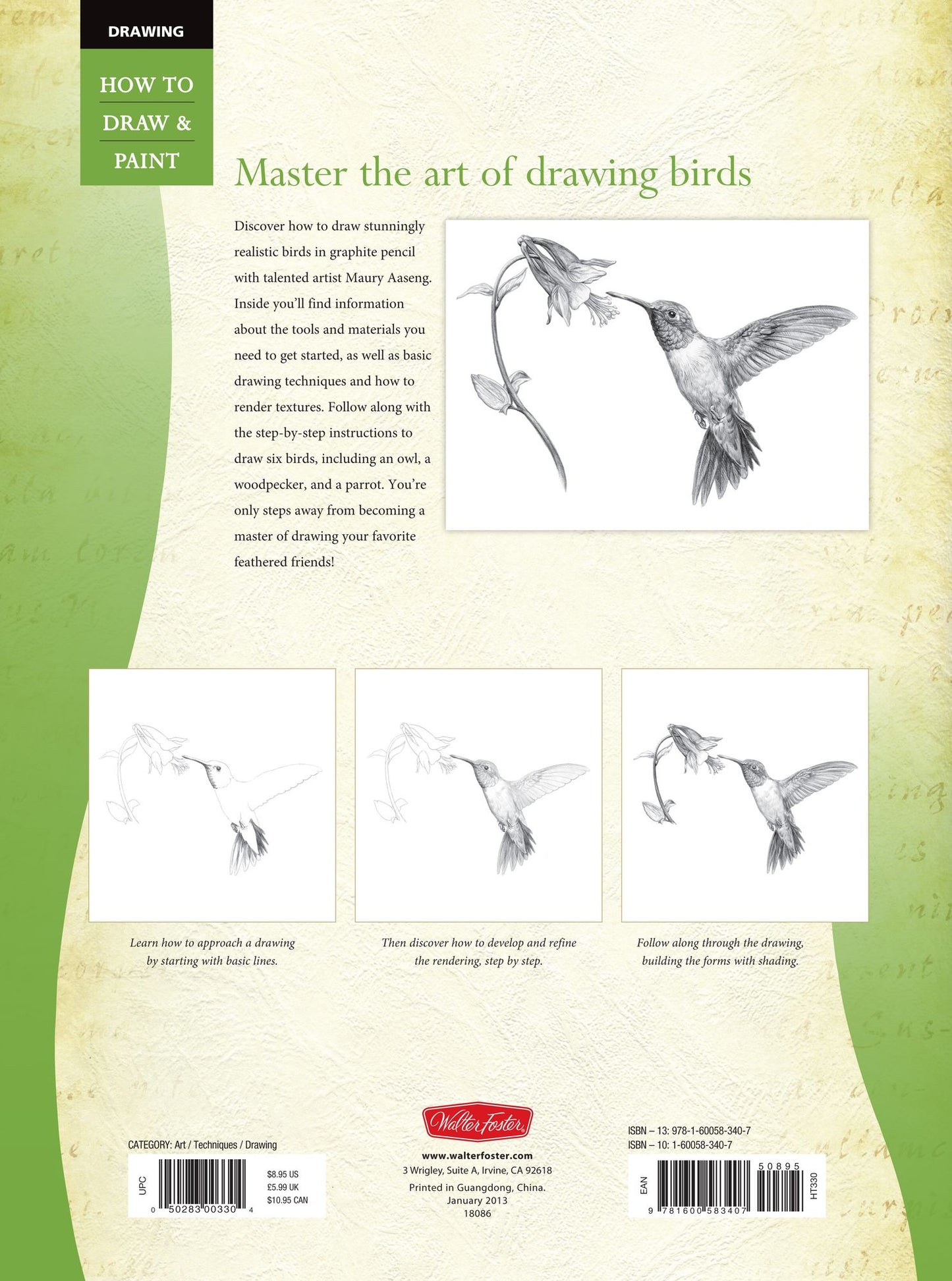 Drawing: Birds: Learn to draw a variety of amazing birds step by step