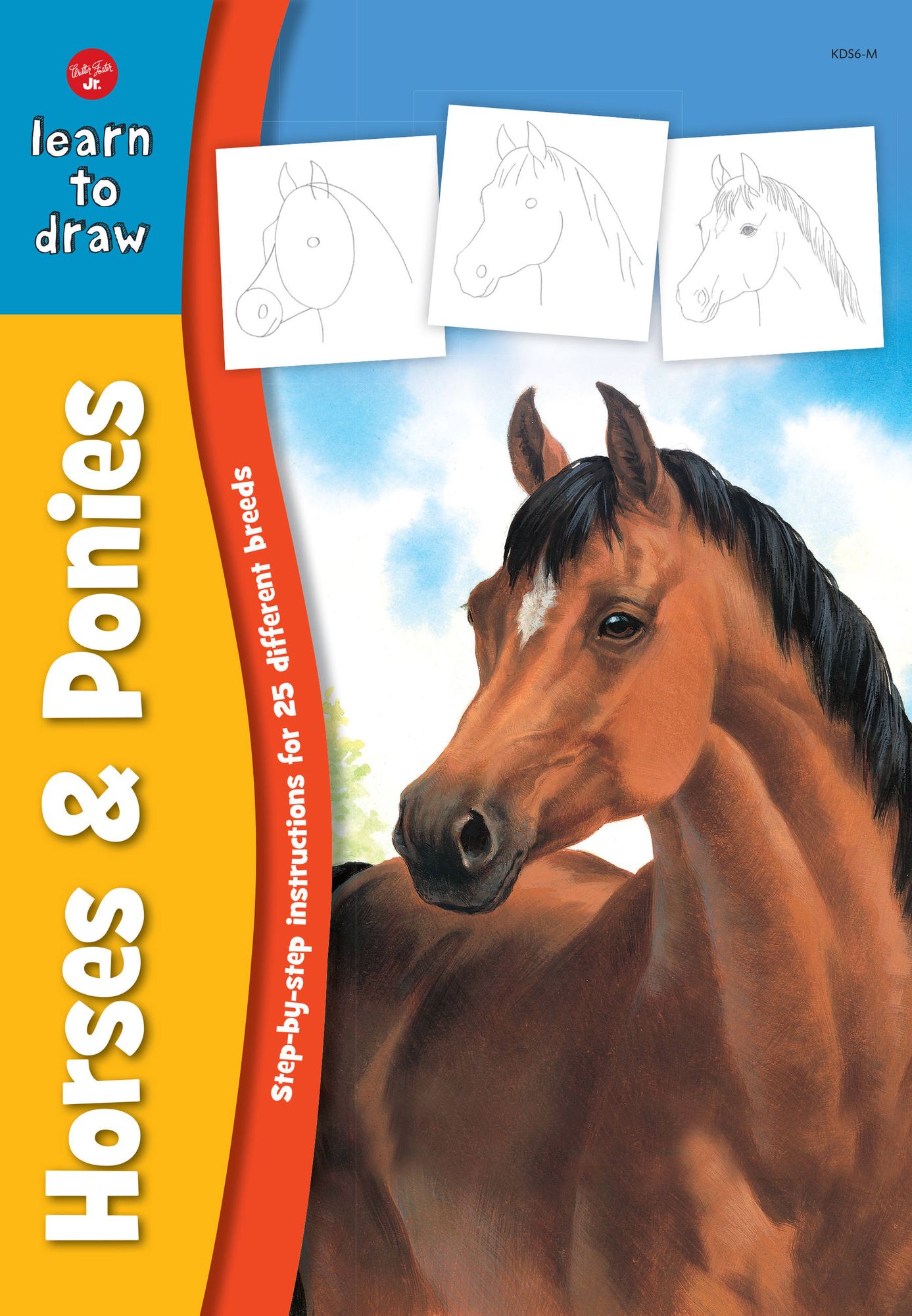 Learn to Draw Horses & Ponies