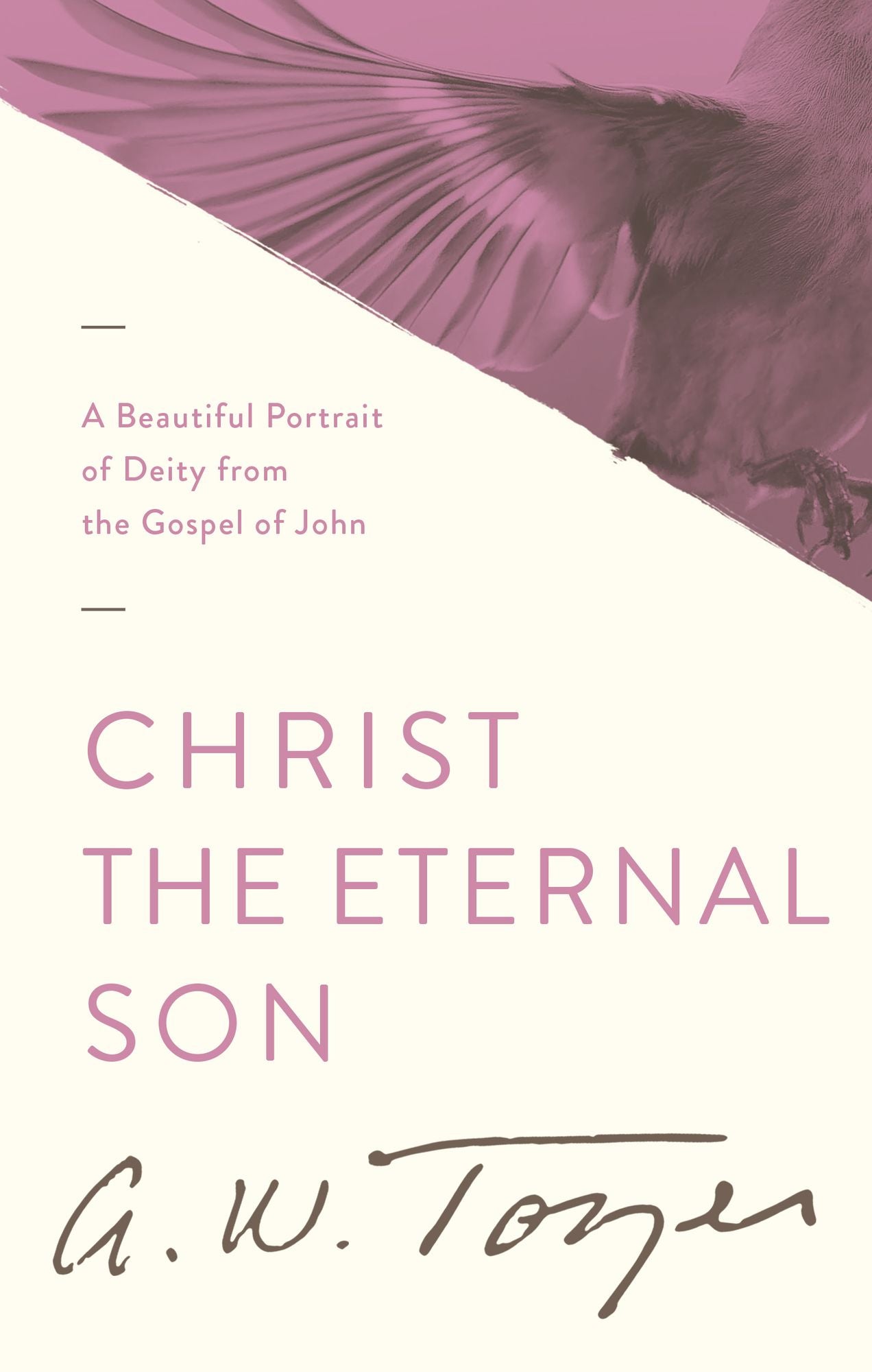 Christ the Eternal Son: A Beautiful Portrait of Deity from the Gospel of John