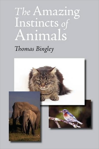 The Amazing Instincts Of Animals
