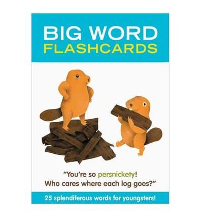 Big Word : Flashcards