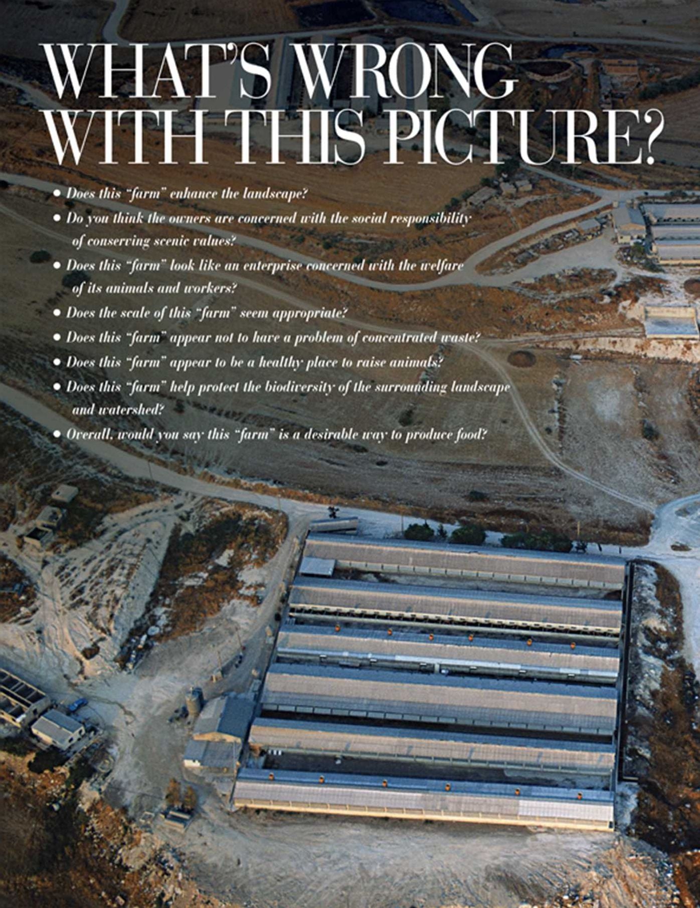 CAFO: The Tragedy of Industrial Animal Factories