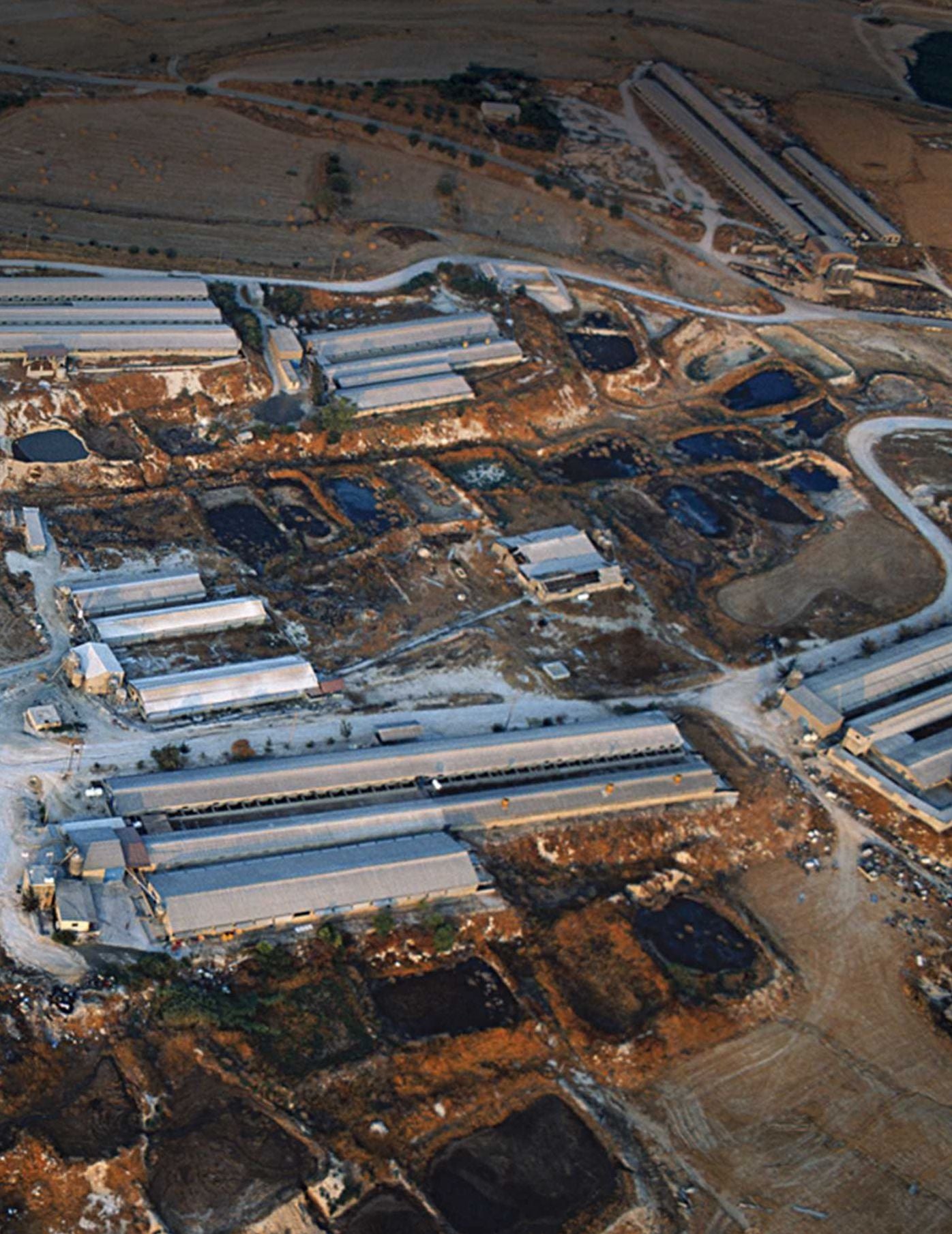 CAFO: The Tragedy of Industrial Animal Factories