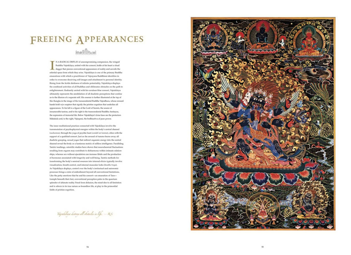 Buddhas of the Celestial Gallery