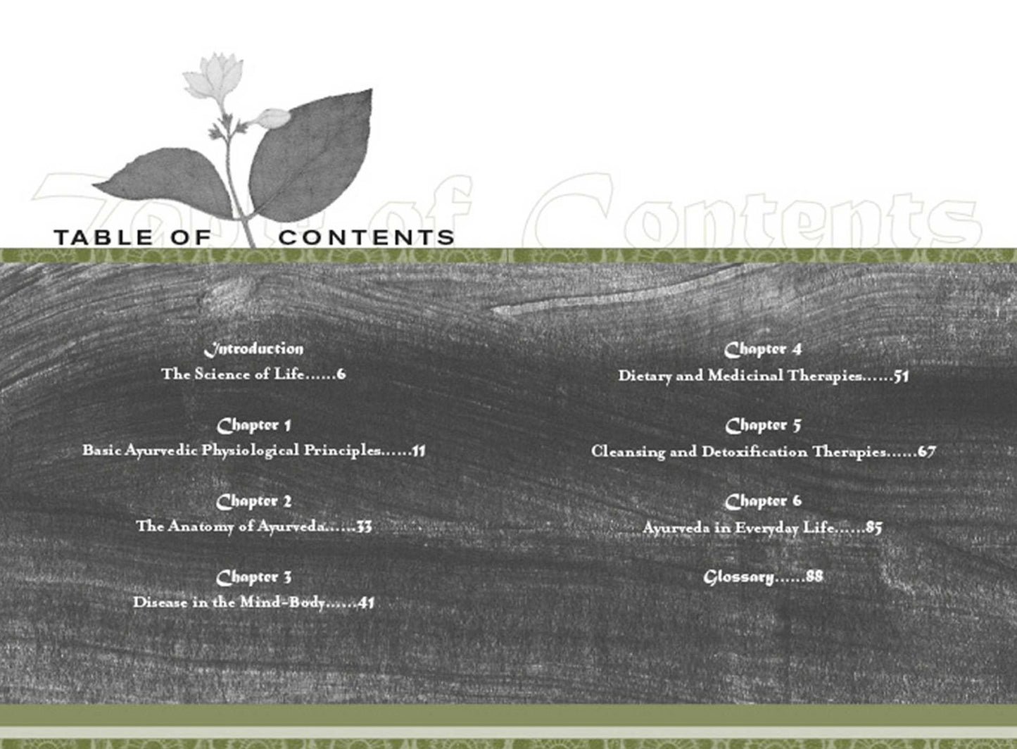 Ayurveda: A Holistic Approach to Health