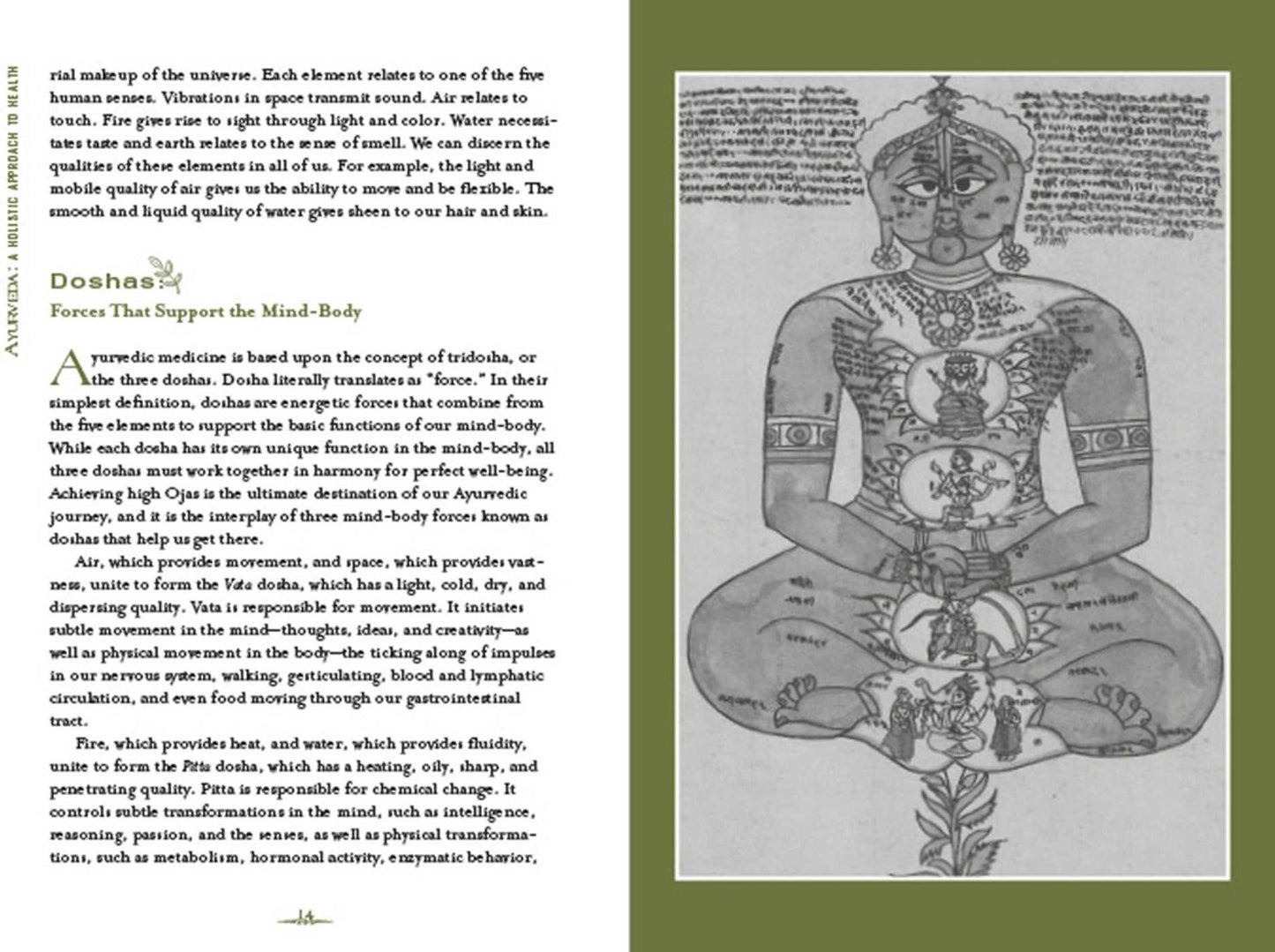 Ayurveda: A Holistic Approach to Health