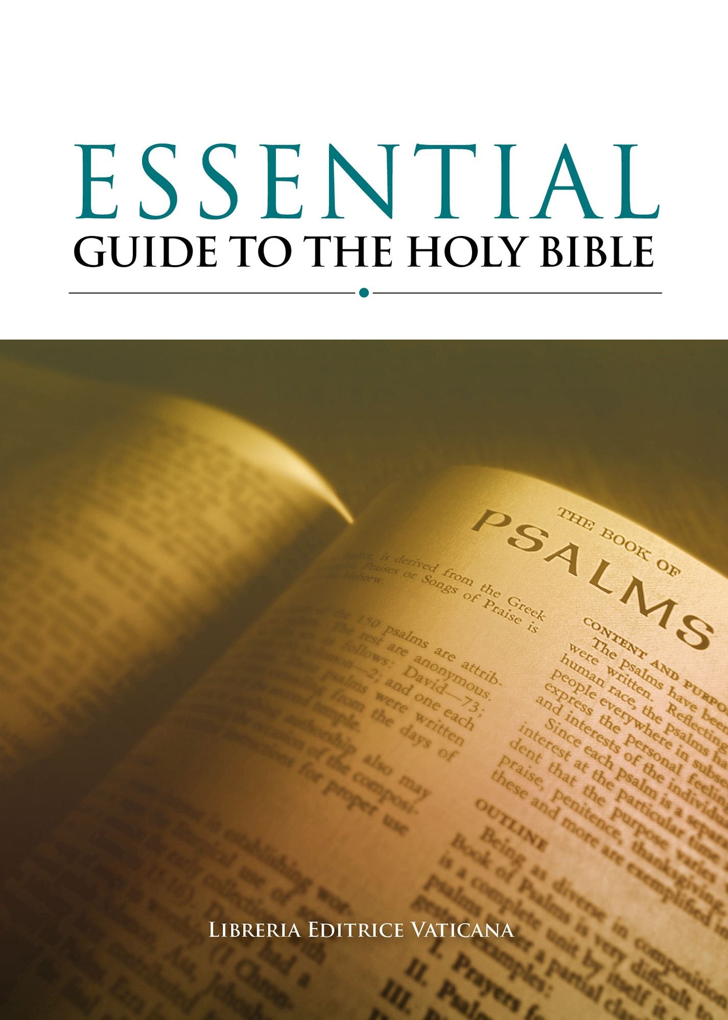 Essential Guide to the Holy Bible