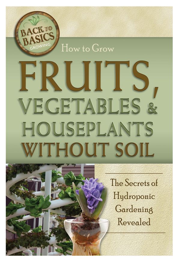 How to Grow Fruits, Vegetables & Houseplants Without Soil: The Secrets of Hydroponic Gardening Revealed
