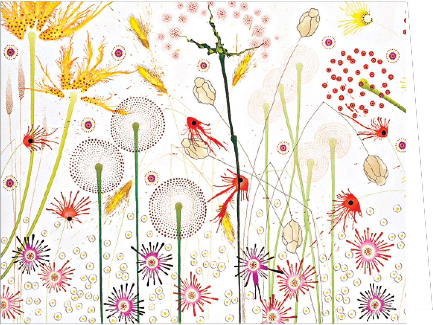 Flora: QuickNotes: Greeting, Thank You and Invitation Cards in a Reuseable Flip-Top Box Decorated with Modern Illustrations