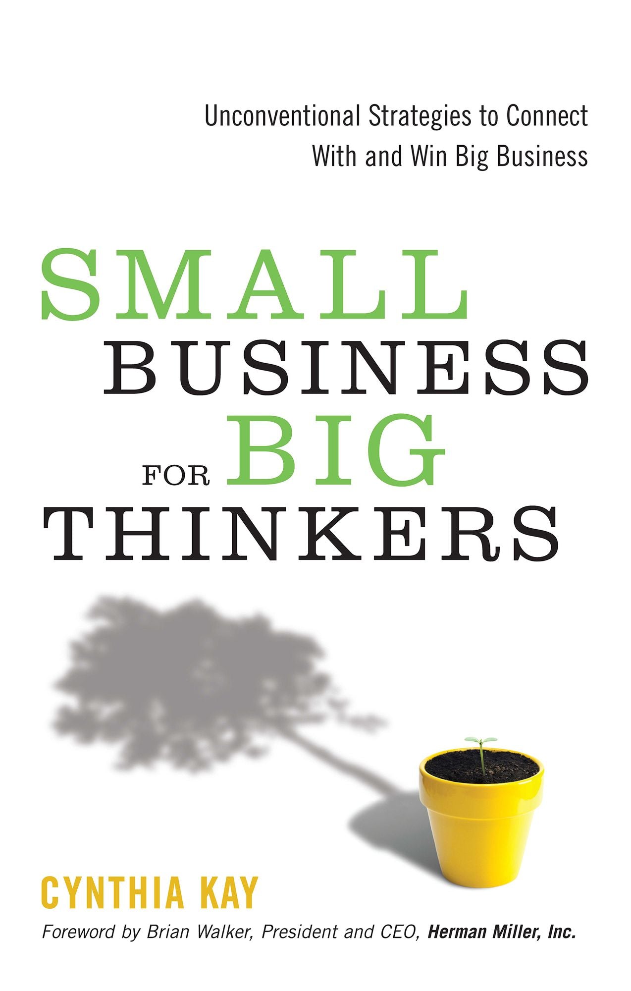 Small Business for Big Thinkers: Unconventional Strategies to Connect With and Win Big Business