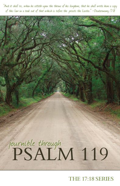 Journible through Psalm 119 - The 17:18 Series