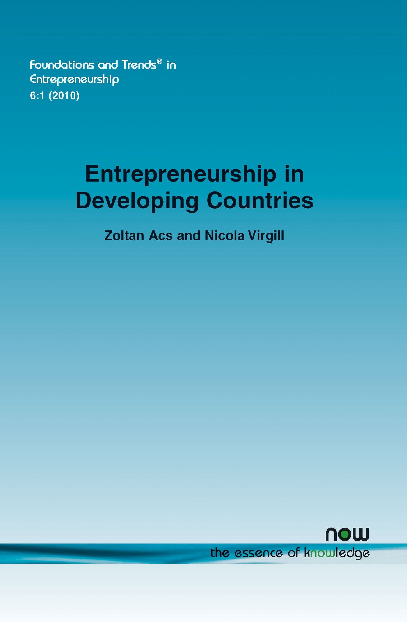 Entrepreneurship In Developing Countries