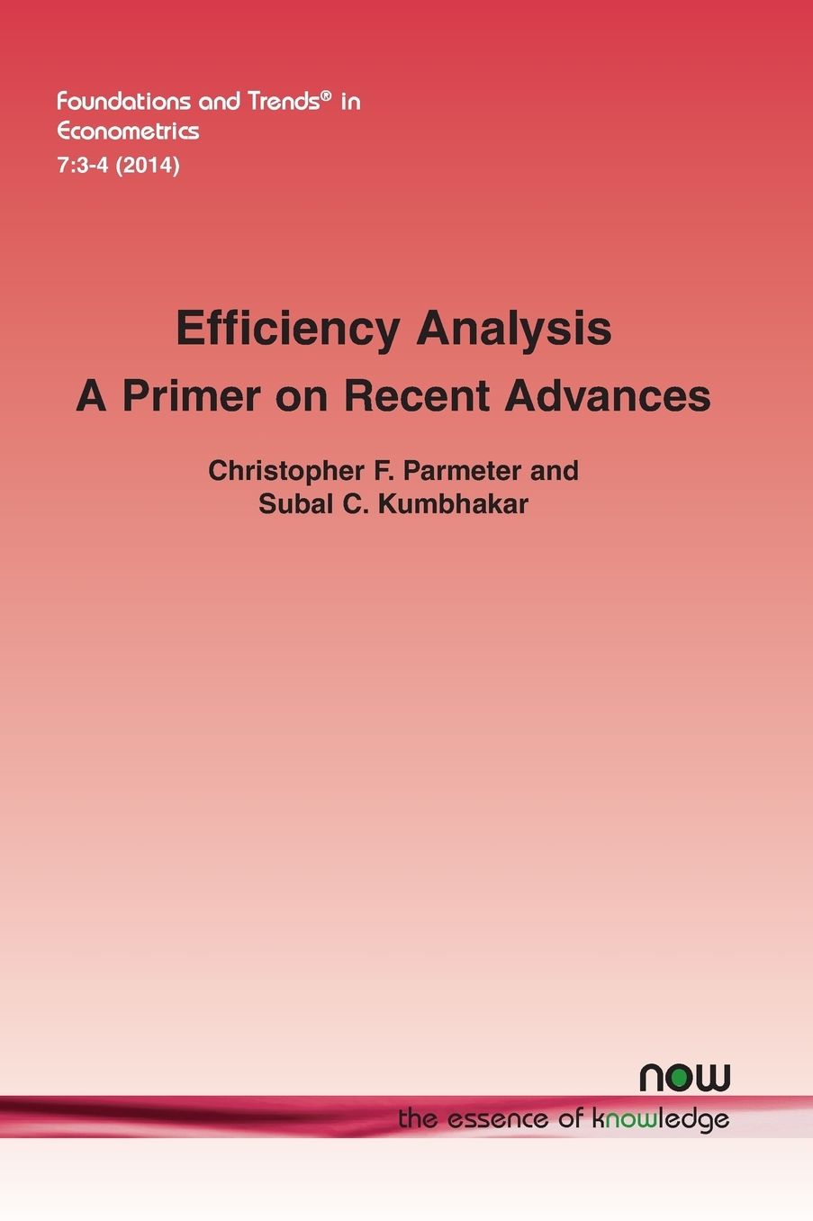 Efficiency Analysis: A Primer on Recent Advances