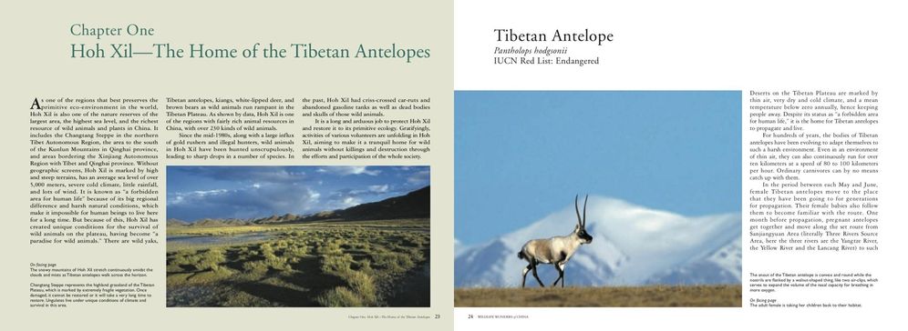 Wildlife Wonders of China: A Pictorial Journey through the Lens of Conservationist Xi Zhinong