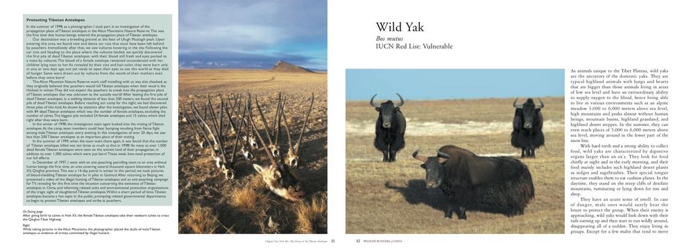 Wildlife Wonders of China: A Pictorial Journey through the Lens of Conservationist Xi Zhinong