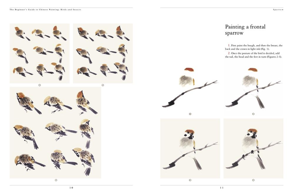 Birds and Insects: The Beginner's Guide to Chinese Painting