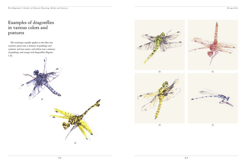 Birds and Insects: The Beginner's Guide to Chinese Painting