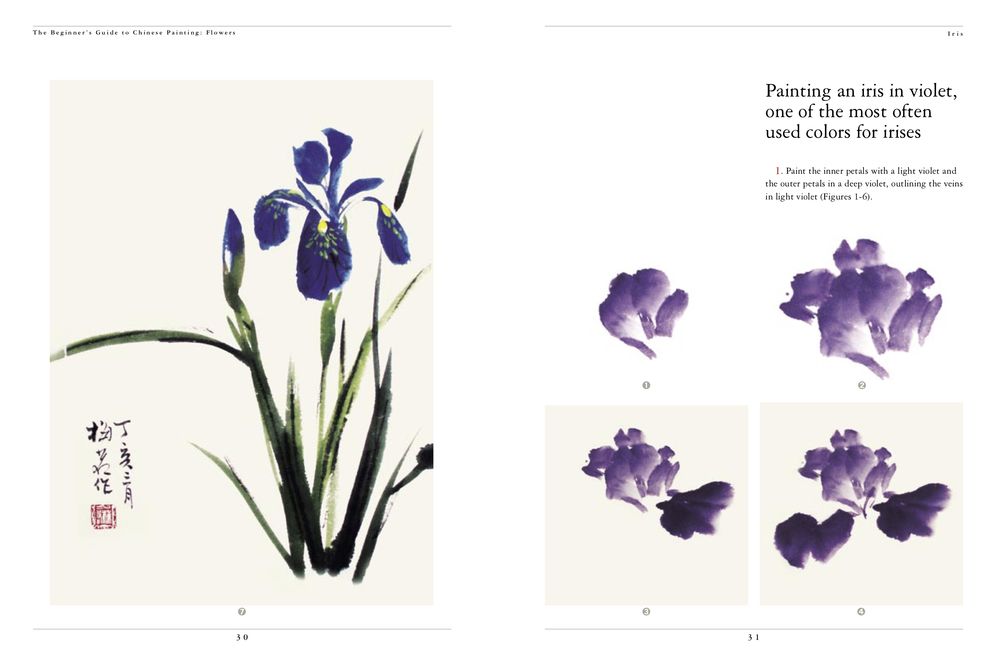 Flowers: The Beginner's Guide to Chinese Painting