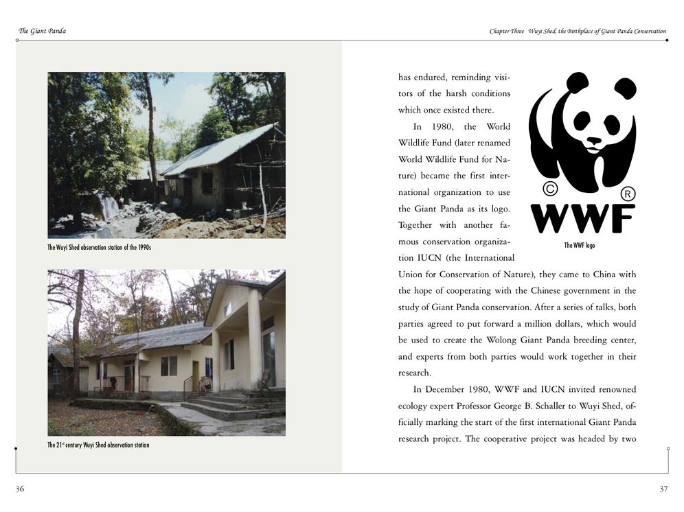The Giant Panda: Discovering China