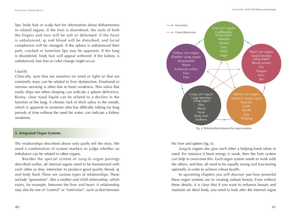 Your Guide to Holistic Beauty: Using the Wisdom of Traditional Chinese Medicine