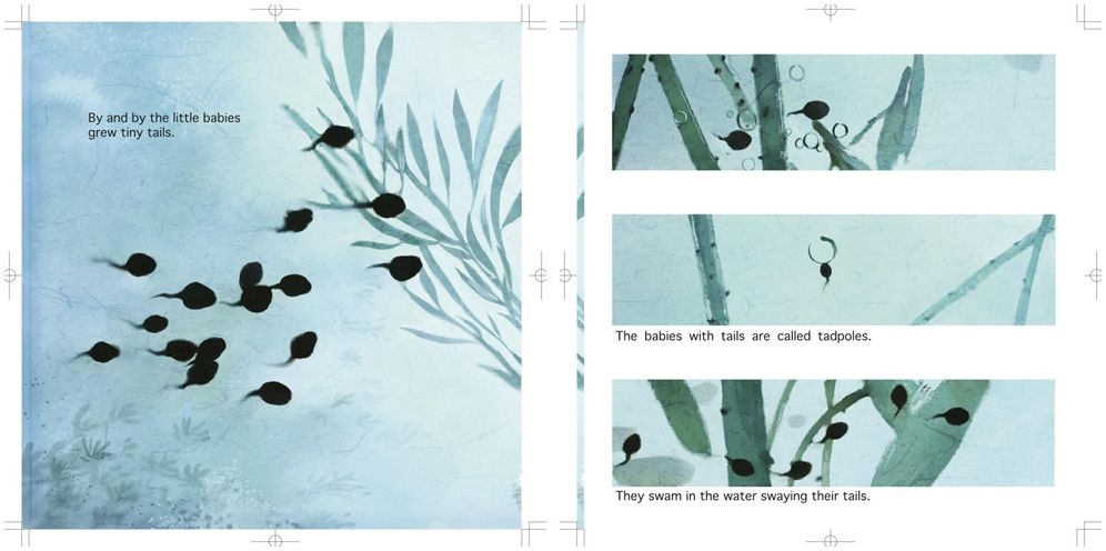 Tadpoles Looking for Their Mother
