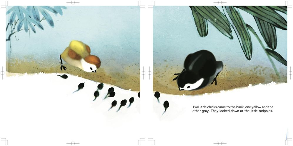 Tadpoles Looking for Their Mother