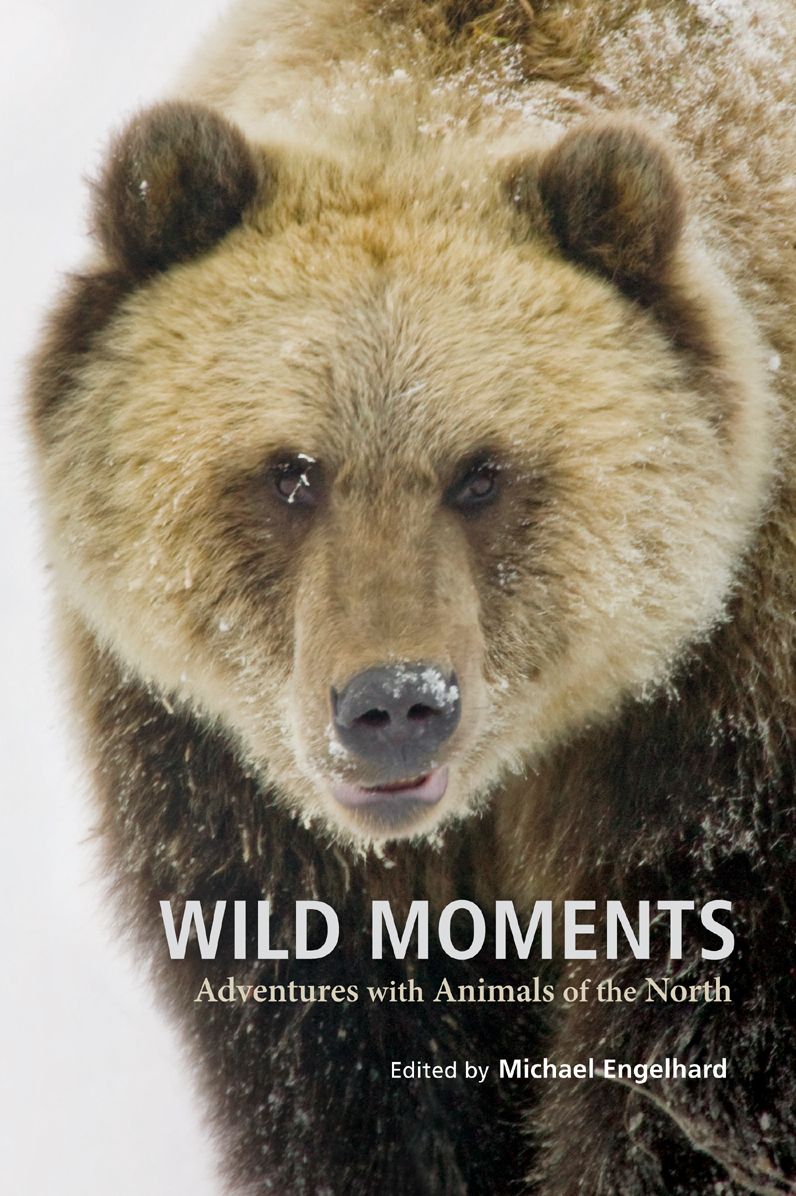 Wild Moments: Adventures with Animals of the North