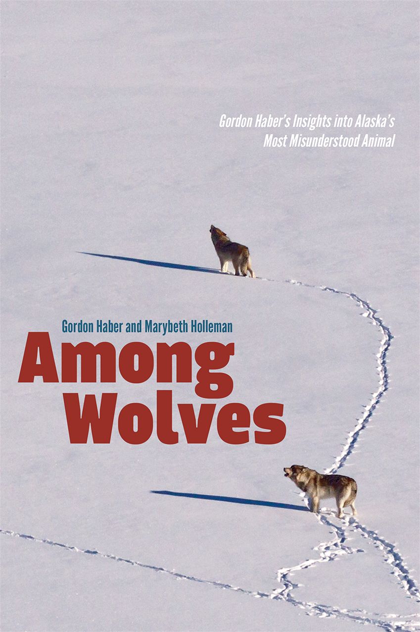 Among Wolves: Gordon Haber's Insights into Alaska's Most Misunderstood Animal