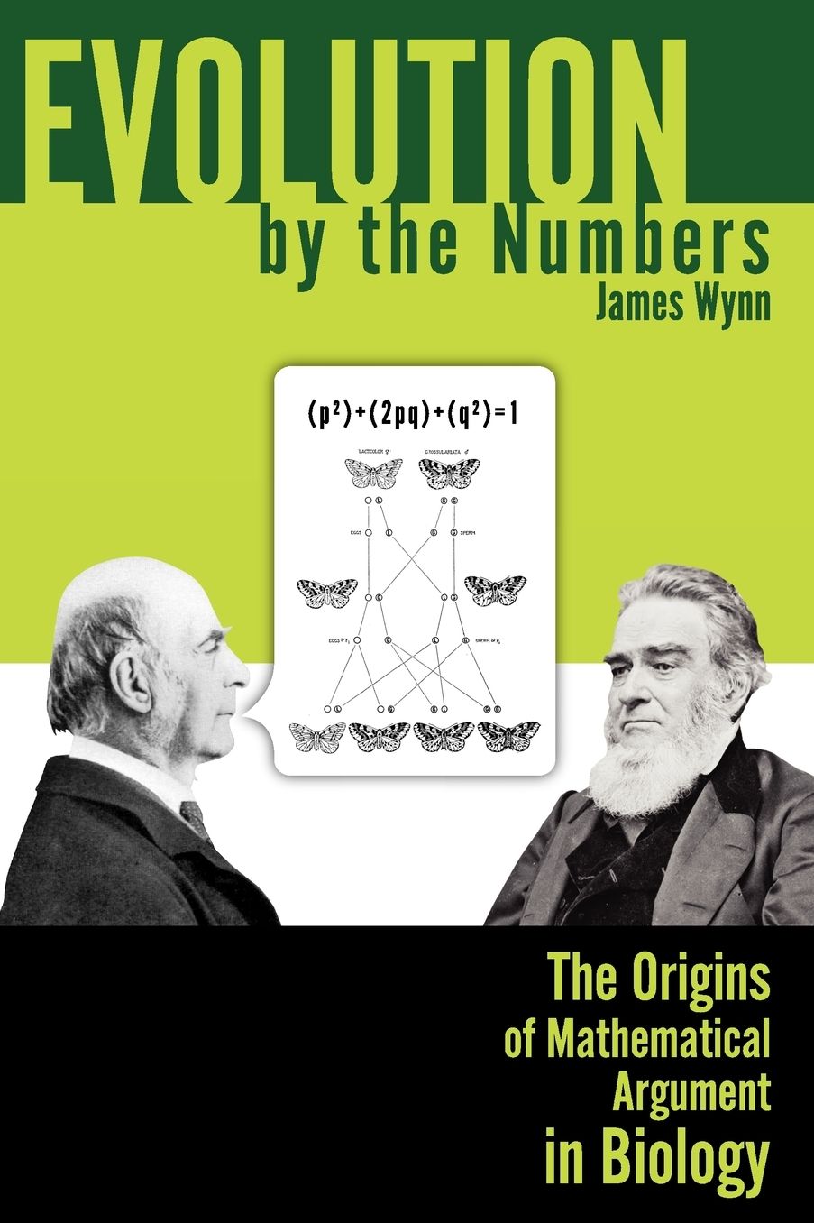 Evolution By The Numbers