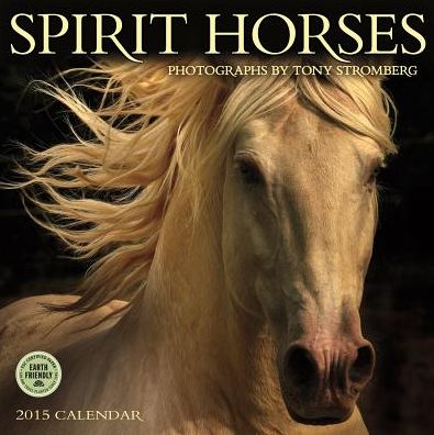 2015 Spirit Horses Wall Calendar