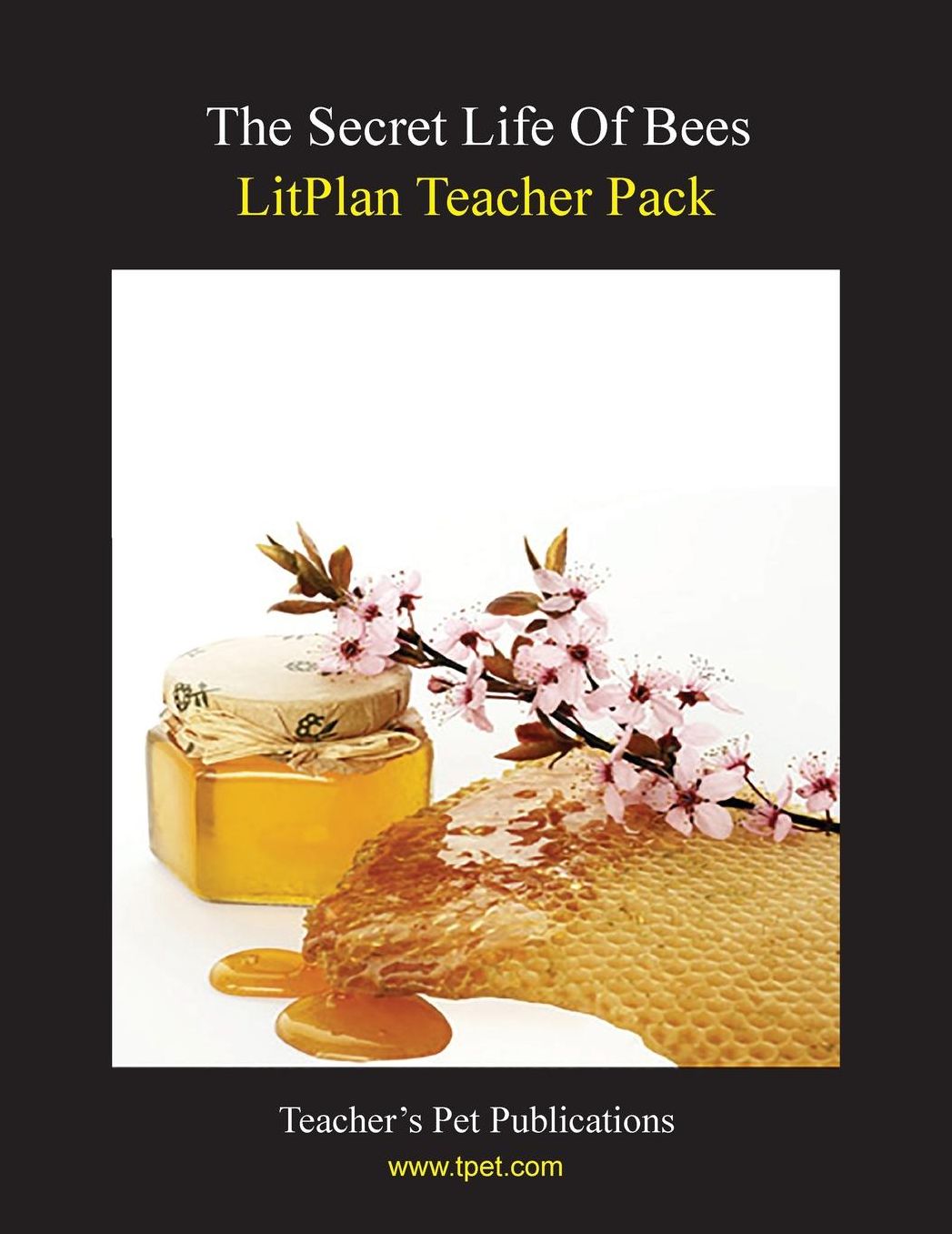 The Secret Life of Bees: LitPlan Teacher Pack