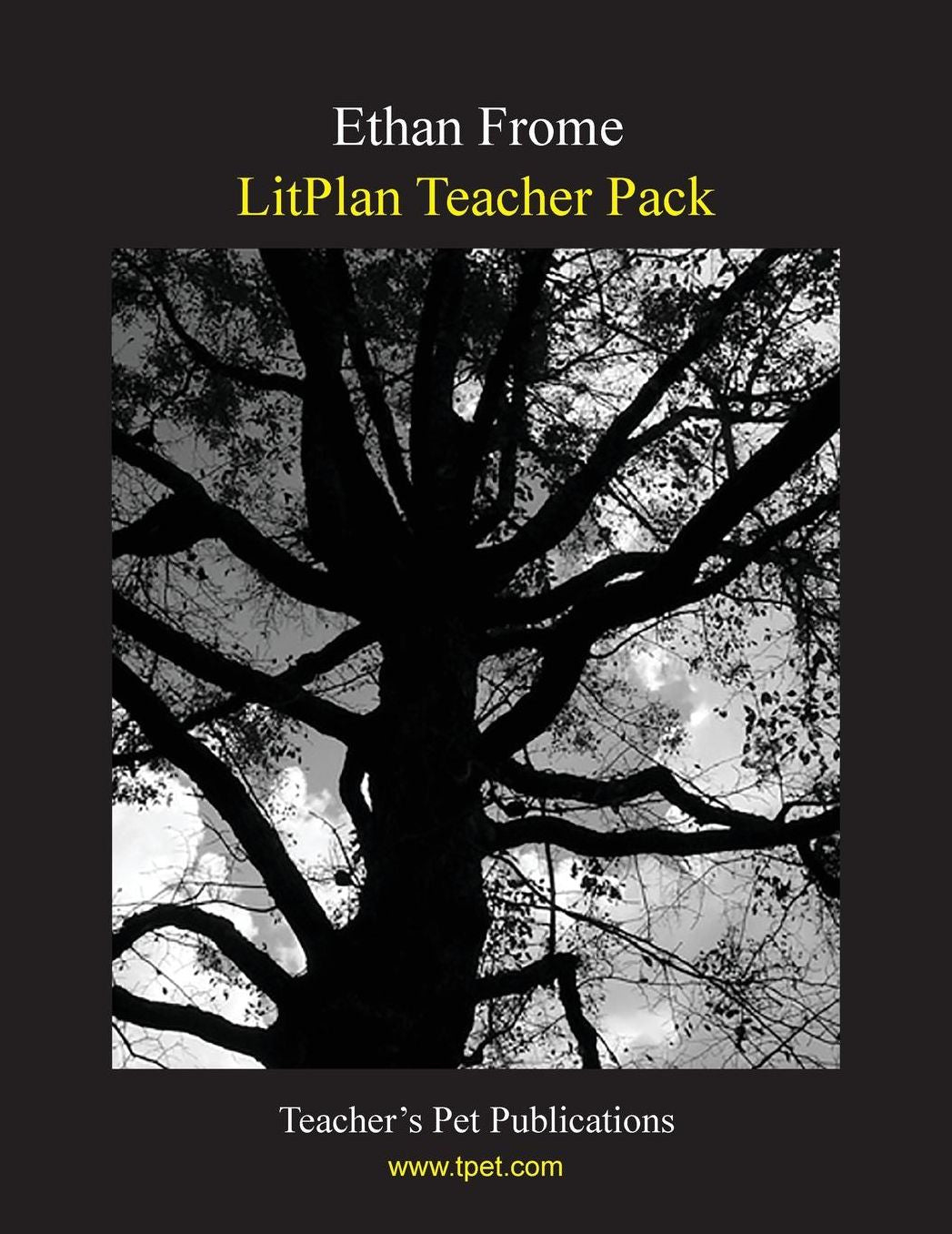 Ethan Frome: Litplan Teacher Pack
