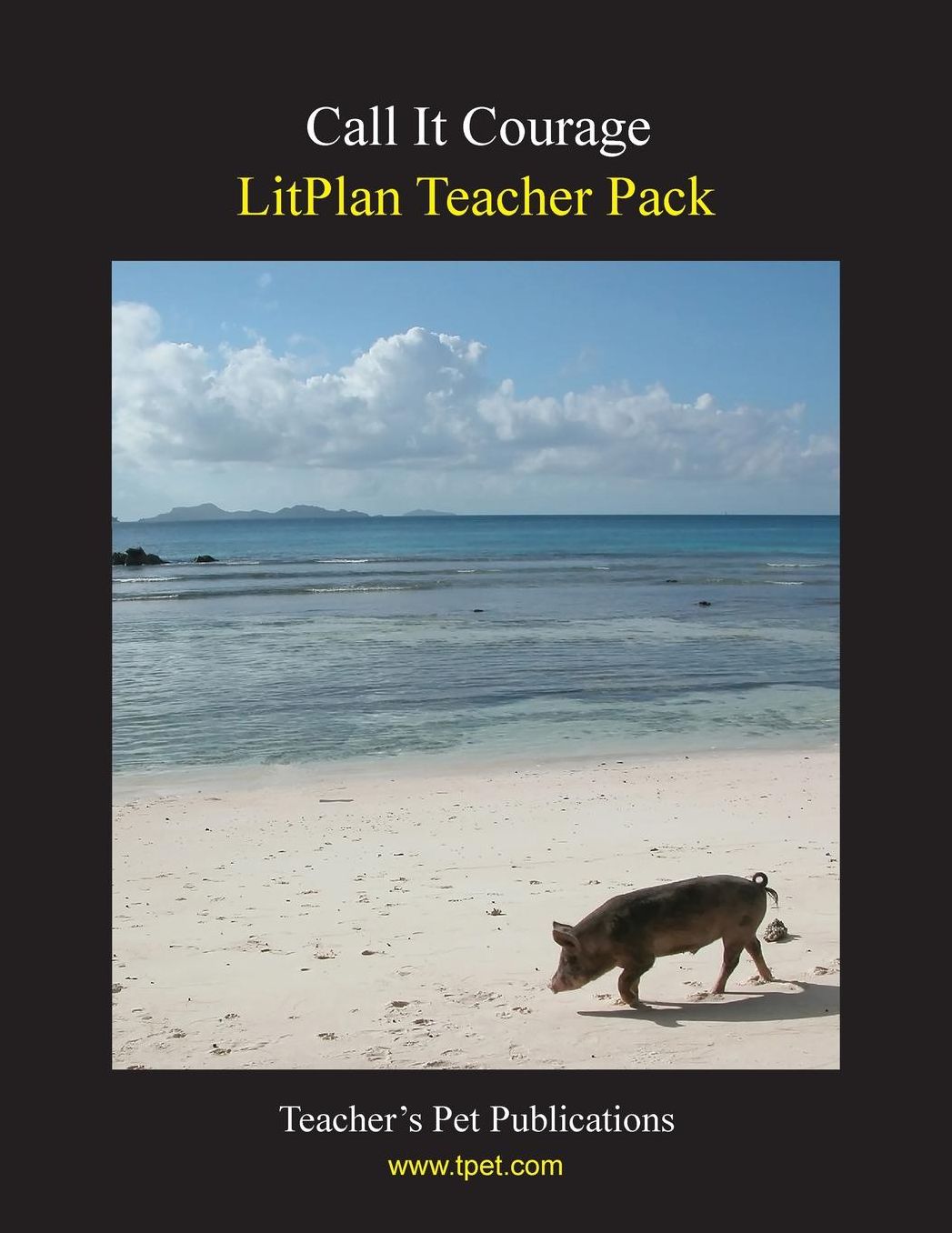 Call It Courage: Litplan Teacher Pack